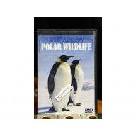 6434: DVD Wild Kingdom Polar Wildlife 